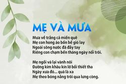 Mẹ và mưa