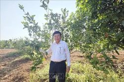 Dựng cơ nghiệp từ vùng đất cằn