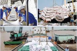 Phân cấp chứng nhận chủng loại gạo thơm: Tạo thuận lợi cho doanh nghiệp và HTX tham gia xuất khẩu