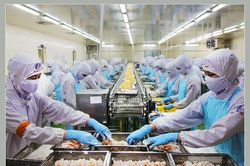 Xuất khẩu thủy sản vượt 8 tỷ USD, doanh nghiệp đối mặt áp lực kép từ thuế và tiêu chuẩn xanh