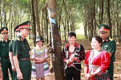 Binh đoàn 16: Nâng cao hiệu quả thực hiện nhiệm vụ tại các đoàn kinh tế - quốc phòng