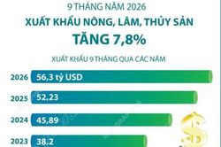 9 th&aacute;ng năm 2026: Xuất khẩu n&ocirc;ng, l&acirc;m, thủy sản tăng 7,8%