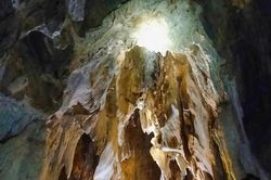Phát hiện hang động nhiều tầng trong rừng nguyên sinh ở Nghệ An