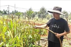 Tín dụng chính sách tiếp sức người sau cai nghiện làm lại cuộc đời