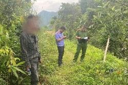 Khởi tố người đàn ông lẩn trốn vào rừng sử dụng ma túy