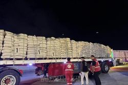 WHO cảnh báo hậu quả tàn khốc khi trì hoãn viện trợ Gaza