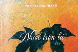 Từ phố thị phồn hoa về bên phá Tam Giang