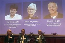 3 nhà khoa học đoạt Nobel Y Sinh nhờ công nghệ điều khiển neuron bằng ánh sáng