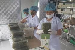 Đưa sản phẩm OCOP vươn xa