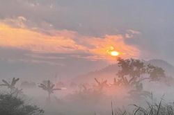 Sương trắng miền quê