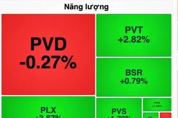 Cổ phiếu dầu khí, phân bón đi ngược thị trường