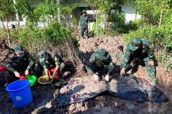 Cà Mau: Quy tập thành công 3 hài cốt liệt sĩ tại nghĩa trang tạm Cầu Chữ Y