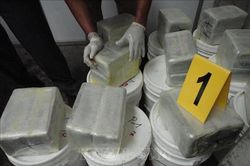 Mexico thu giữ 1,2 tấn cocaine và bắt giữ thủ lĩnh băng nhóm Mara 18