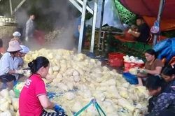 Liên kết hợp tác xã với người dân, nâng cao giá trị nông sản