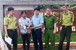 Người dân xã Bác Ái Đông tự nguyện giao nộp gà lôi tía, thả về rừng đặc dụng Phước Bình