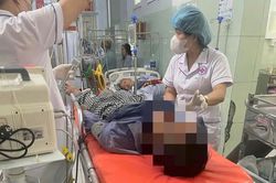 Cứu sống bệnh nhân ngộ độc cá nóc
