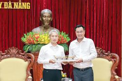 Đà Nẵng thu hút đầu tư vào công nghiệp pin và ô tô