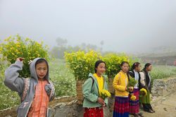Từng bước đẩy lùi tảo hôn và hôn nhân cận huyết thống vùng đồng bào dân tộc thiểu số