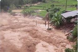 Lâm Đồng: Mưa lũ đầu tháng 10 gây thiệt hại 16,5 tỷ đồng, hơn 1.600 ha cây trồng ngập úng