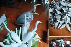 Nước mắt chim trời