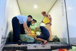 Đồng Nai: Phát hiện gần 15 tấn thực phẩm đông lạnh không rõ nguồn gốc