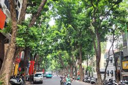 Kiến tạo Thủ đô xanh trên nền tảng bản sắc