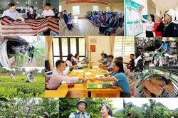 C&agrave; Mau tập trung triển khai c&aacute;c giải ph&aacute;p gi&uacute;p giảm ngh&egrave;o bền vững
