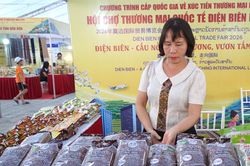 Phụ nữ Điện Biên mạnh dạn làm giàu