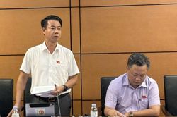 Đại biểu Quốc hội tỉnh Lai Ch&acirc;u g&oacute;p &yacute; ho&agrave;n thiện c&aacute;c dự &aacute;n luật