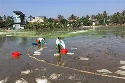 Chỉ thị của Bộ Ch&iacute;nh trị về bảo đảm an ninh m&ocirc;i trường trong thời kỳ ph&aacute;t triển mới