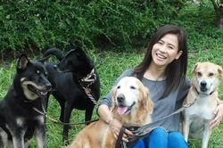 Liệu pháp 'chó trị liệu' đắt khách