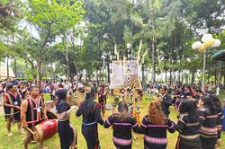 Đổi t&ecirc;n Festival quốc tế cồng chi&ecirc;ng: Gia Lai giữ nguy&ecirc;n quy m&ocirc;, điểm hẹn hoa d&atilde; quỳ sẵn s&agrave;ng b&ugrave;ng nổ