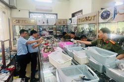 Chủ cửa h&agrave;ng b&agrave;y b&aacute;n hơn 2.000 đồng hồ giả mạo 10 thương hiệu nổi tiếng, c&oacute; cả Rolex