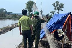 T&acirc;y Ninh: Khởi tố 2 bị can li&ecirc;n quan vụ việc 201 c&aacute; thể động vật hoang d&atilde;