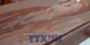 Cần Thơ: Hàng trăm hộ dân khổ sở vì bụi cám từ nhà máy xay xát