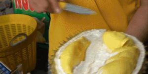 Sầu riêng giá rẻ 'đổ bộ' TPHCM, cửa hàng bán cả tấn mỗi ngày