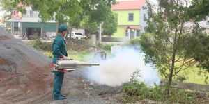 Hà Nội hưởng ứng Ngày ASEAN phòng, chống sốt xuất huyết