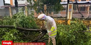 Lốc xoáy càn quét, nhà tốc mái, cây bật gốc ngổn ngang ở Đắk Lắk