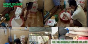 Triệt phá đường dây làm giả hơn 4 tấn bột ngọt nhãn hiệu Ajinomoto