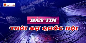Bản tin Thời sự Quốc hội ngày 20/5/2026
