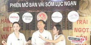 Phó Chủ tịch tỉnh Bắc Ninh livestream bán vải, chốt hơn 31 tấn đơn hàng