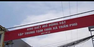 Hà Nội siết chặt xử lý chợ tạm và hoạt động giết mổ nhỏ lẻ Bài 2: Xử lý nghiêm các cơ sở giết mổ vi phạm, hướng tới chuỗi cung ứng thực phẩm an toàn