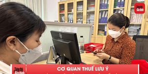 Nợ thuế bao nhiêu có thể bị tạm hoãn xuất cảnh?