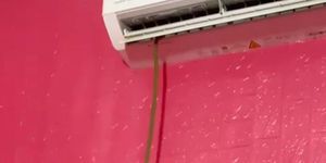 Cảnh tượng rắn dài 1 m bất ngờ bò ra từ điều hòa giữa trưa