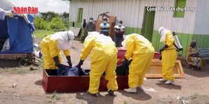 [Video] WHO hỗ trợ CHDC Congo mở rộng quy mô xét nghiệm virus Ebola