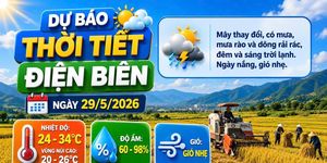 Bản tin Dự báo thời tiết ngày 29/5/2026