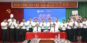 Transerco thúc đẩy chuyển đổi số, nâng cao chất lượng phục vụ