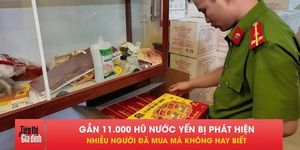 Bóc trần cơ sở yến sào giả, hàng nghìn hũ suýt bán ra thị trường