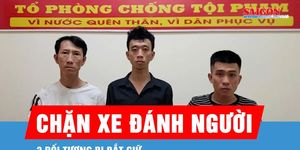 Đồng Nai: Bắt giữ nhóm đối tượng chặn xe đánh người trọng thương