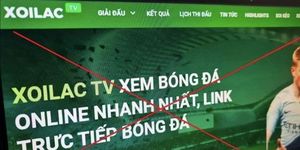 Đẩy lùi vi phạm bản quyền trên không gian mạng